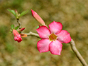%_tempFileName09-20120603-0149%