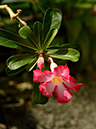 %_tempFileName10-20130921-0138%
