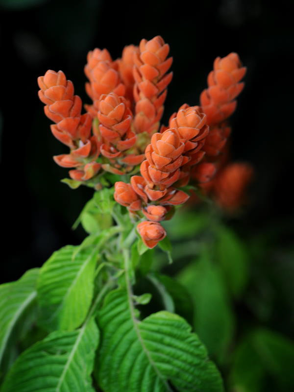 %_tempFileName03-20100214-0183%