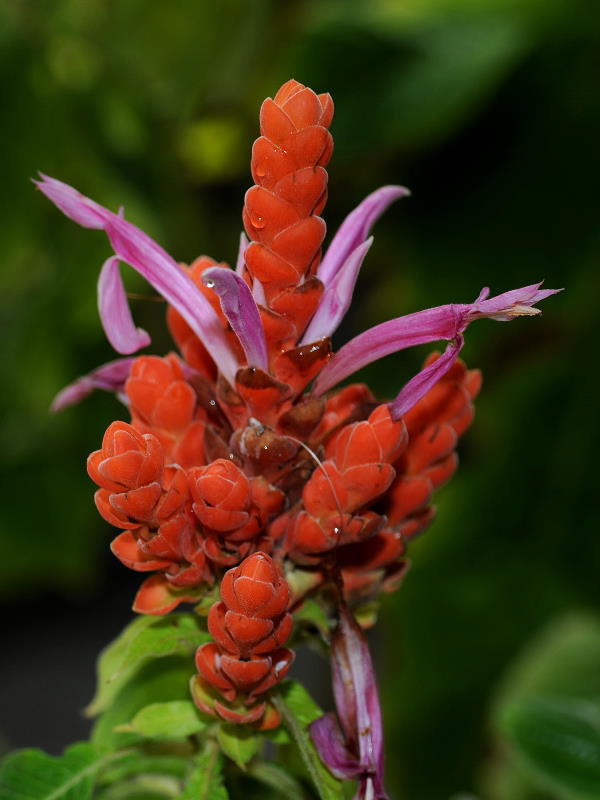 %_tempFileName05-20100214-0185%