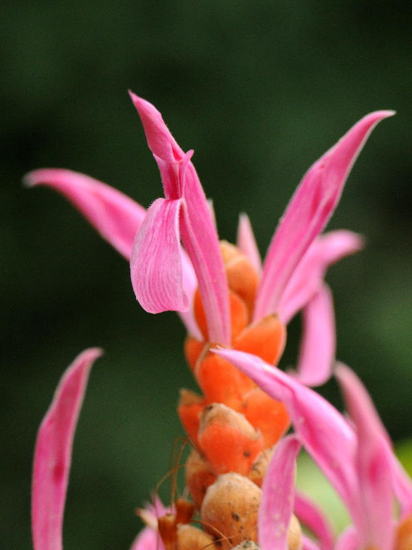 %_tempFileName10-20120115-0212%