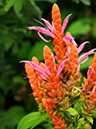 %_tempFileName01-20081124-0154%