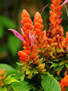 %_tempFileName02-20081124-0156%