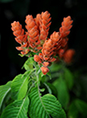 %_tempFileName03-20100214-0183%