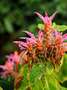 %_tempFileName09-20120115-0210%