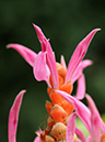 %_tempFileName10-20120115-0212%