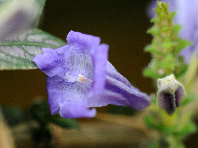 %_tempFileName01-20120310-0285%