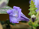 %_tempFileName01-20120310-0285%