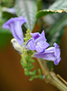 %_tempFileName02-20120310-0287%