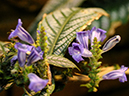 %_tempFileName03-20120318-0195%