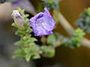 %_tempFileName04-20120325-0476%