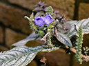 %_tempFileName05-20120331-0208%