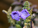 %_tempFileName06-20120331-0209%
