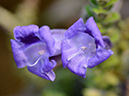 %_tempFileName07-20120331-0210%