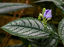 %_tempFileName07-20130113-0177%