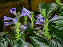 %_tempFileName09-20130127-0164%