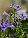 %_tempFileName10-20130302-0146%