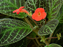 %_tempFileName06-20191201-0101%