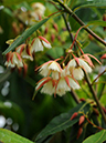 %_tempFileName03-20090329-0251%