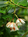 %_tempFileName04-20090329-0252%