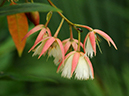 %_tempFileName07-20090329-0256%