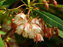 %_tempFileName10-20110505-0407%