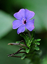 %_tempFileName02-20100928-0077%