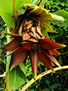 %_tempFileName01-20091025-0172%