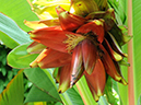 %_tempFileName02-20110911-0082%