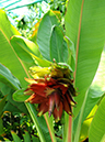 %_tempFileName03-20110911-0083%