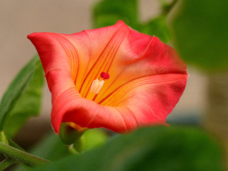 %_tempFileName02-20130113-0110%