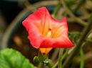%_tempFileName01-20130113-0108%