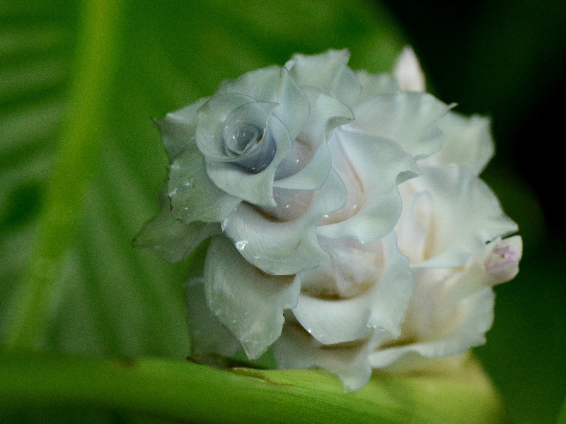 %_tempFileName03-20120805-0240%