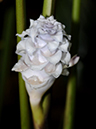 %_tempFileName01-20100214-0228%
