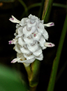 %_tempFileName02-20100313-0228%