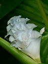 %_tempFileName04-20120805-0241%