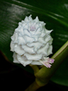 %_tempFileName05-20130407-0203%