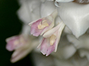 %_tempFileName06-20130420-0255%