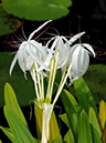 %_tempFileName01-20080816-0140%