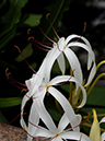 %_tempFileName02-20090503-0170%