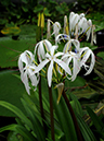 %_tempFileName03-20090628-0193%