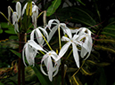 %_tempFileName04-20090628-0272%