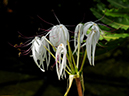 %_tempFileName06-20110709-0120%