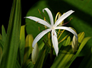%_tempFileName08-20110814-0355%