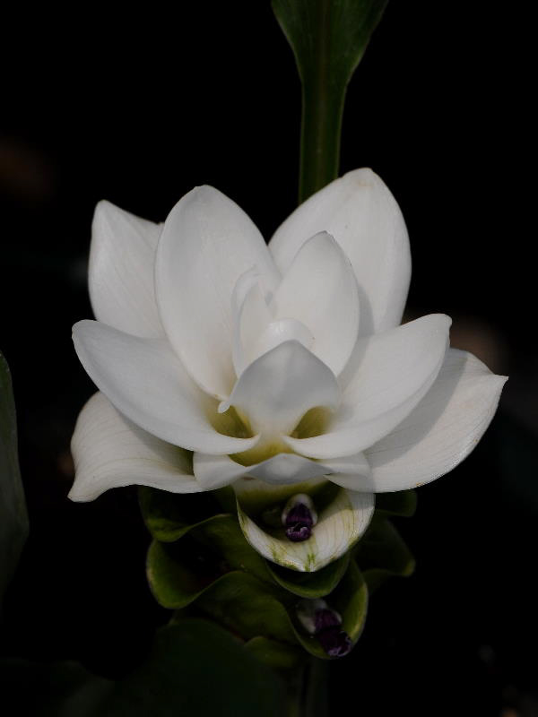 %_tempFileName02-20100731-0354%