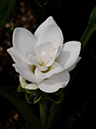 %_tempFileName01-20100731-0353%