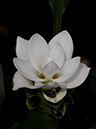 %_tempFileName02-20100731-0354%