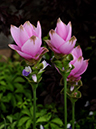 %_tempFileName03-20100815-0230%
