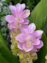 %_tempFileName04-20110911-0005%