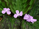 %_tempFileName02-20120603-0226%